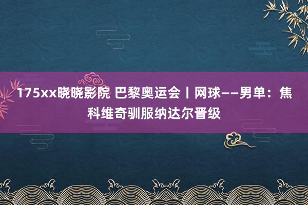 175xx晓晓影院 巴黎奥运会丨网球——男单：焦科维奇驯服纳达尔晋级