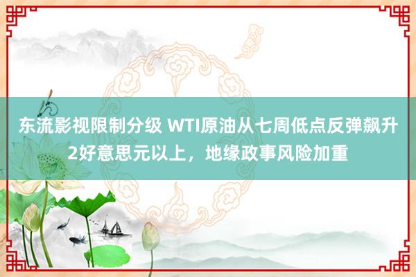 东流影视限制分级 WTI原油从七周低点反弹飙升2好意思元以上，地缘政事风险加重