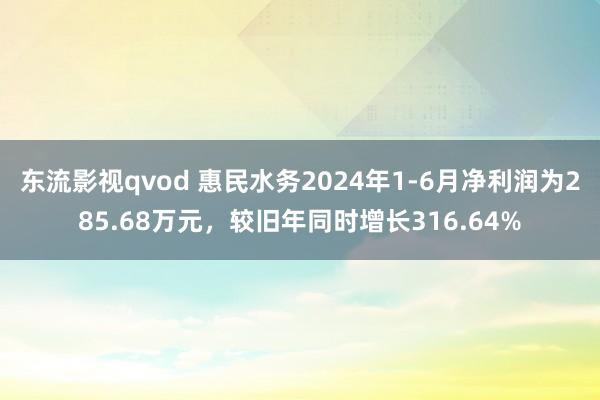 东流影视qvod 惠民水务2024年1-6月净利润为285.68万元，较旧年同时增长316.64%