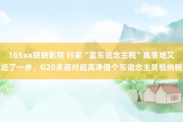 165xx晓晓影院 行家“富东说念主税”离落地又近了一步，G20承诺对超高净值个东说念主灵验纳税