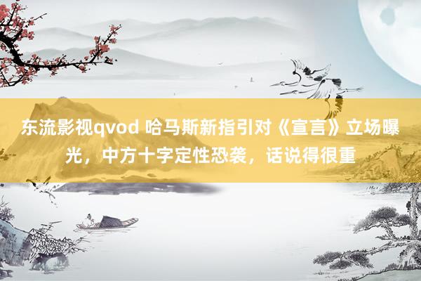 东流影视qvod 哈马斯新指引对《宣言》立场曝光，中方十字定性恐袭，话说得很重