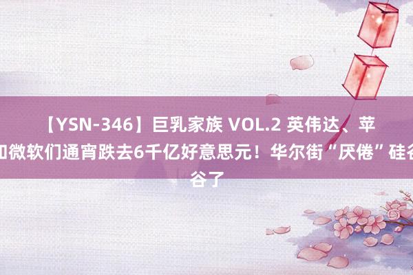 【YSN-346】巨乳家族 VOL.2 英伟达、苹果和微软们通宵跌去6千亿好意思元！华尔街“厌倦”硅谷了