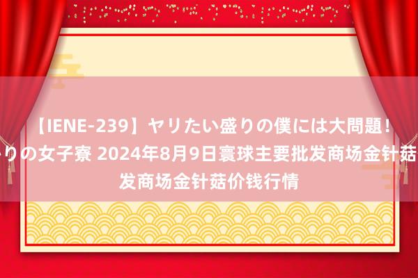 【IENE-239】ヤリたい盛りの僕には大問題！裸族ばかりの女子寮 2024年8月9日寰球主要批发商场金针菇价钱行情