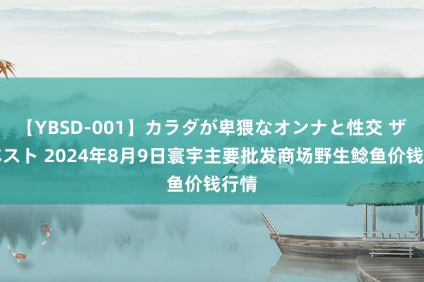 【YBSD-001】カラダが卑猥なオンナと性交 ザ★ベスト 2024年8月9日寰宇主要批发商场野生鲶鱼价钱行情