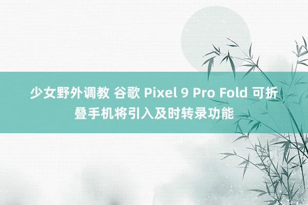 少女野外调教 谷歌 Pixel 9 Pro Fold 可折叠手机将引入及时转录功能