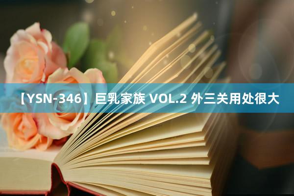 【YSN-346】巨乳家族 VOL.2 外三关用处很大