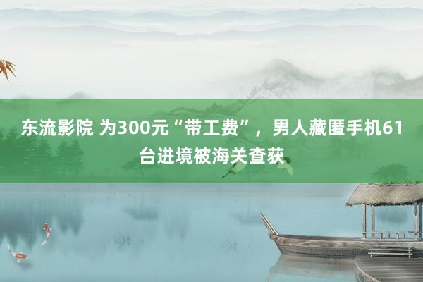 东流影院 为300元“带工费”，男人藏匿手机61台进境被海关查获