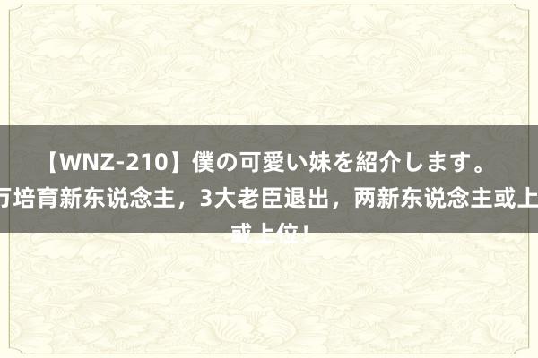 【WNZ-210】僕の可愛い妹を紹介します。 伊万培育新东说念主，3大老臣退出，两新东说念主或上位！