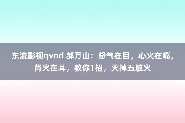 东流影视qvod 郝万山：怒气在目，心火在嘴，肾火在耳，教你1招，灭掉五脏火