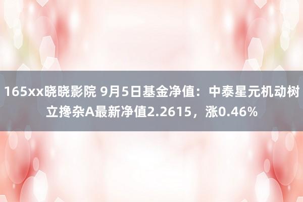 165xx晓晓影院 9月5日基金净值：中泰星元机动树立搀杂A最新净值2.2615，涨0.46%