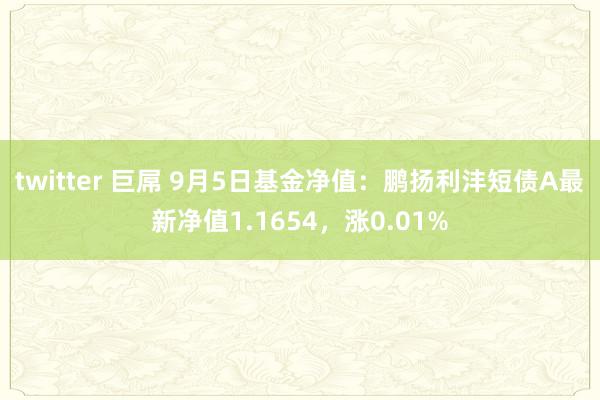 twitter 巨屌 9月5日基金净值：鹏扬利沣短债A最新净值1.1654，涨0.01%