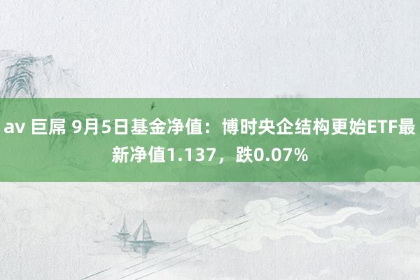 av 巨屌 9月5日基金净值：博时央企结构更始ETF最新净值1.137，跌0.07%