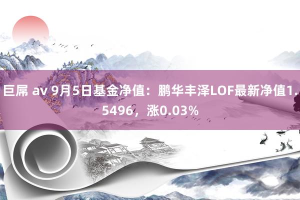 巨屌 av 9月5日基金净值：鹏华丰泽LOF最新净值1.5496，涨0.03%