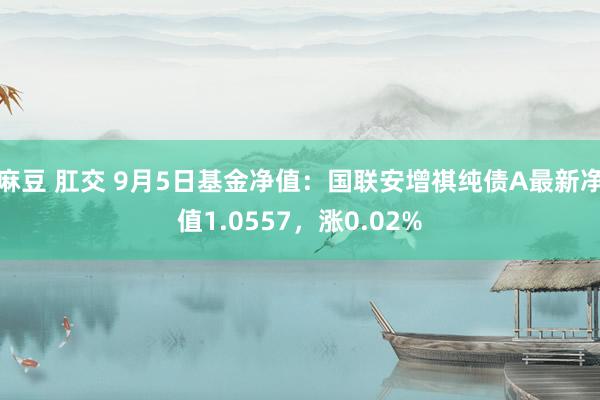 麻豆 肛交 9月5日基金净值：国联安增祺纯债A最新净值1.0557，涨0.02%