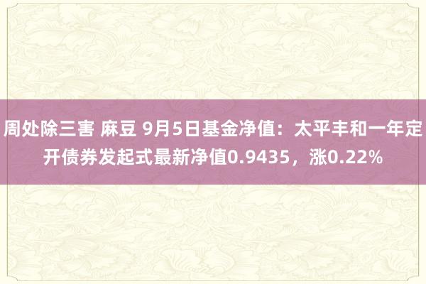 周处除三害 麻豆 9月5日基金净值：太平丰和一年定开债券发起式最新净值0.9435，涨0.22%