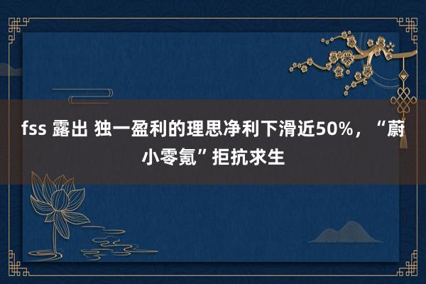 fss 露出 独一盈利的理思净利下滑近50%，“蔚小零氪”拒抗求生