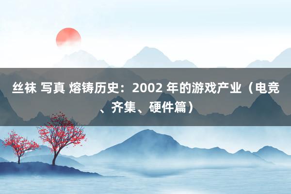 丝袜 写真 熔铸历史：2002 年的游戏产业（电竞、齐集、硬件篇）