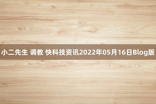 小二先生 调教 快科技资讯2022年05月16日Blog版