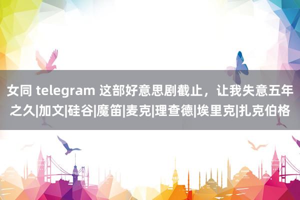 女同 telegram 这部好意思剧截止，让我失意五年之久|加文|硅谷|魔笛|麦克|理查德|埃里克|扎克伯格