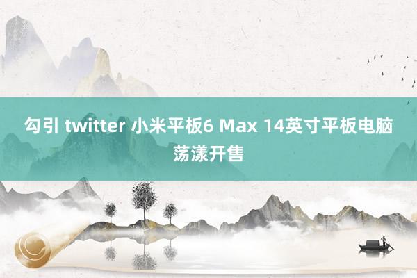 勾引 twitter 小米平板6 Max 14英寸平板电脑荡漾开售